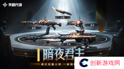 天启行动11